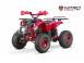Atv kawasaki 919706 poza 2